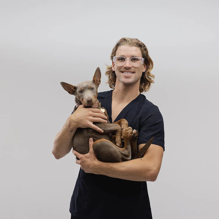 Cruisers Clear Frame Clear Lens Safety Glasses - Image 5