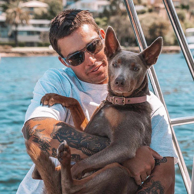 Fusions 3-Pack Combo - Image 7